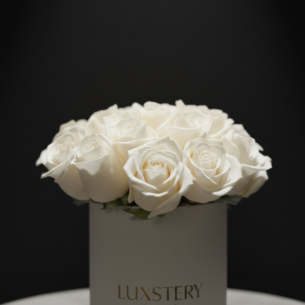 Close up macro of white rose blooms in Luxstery cylinder box
